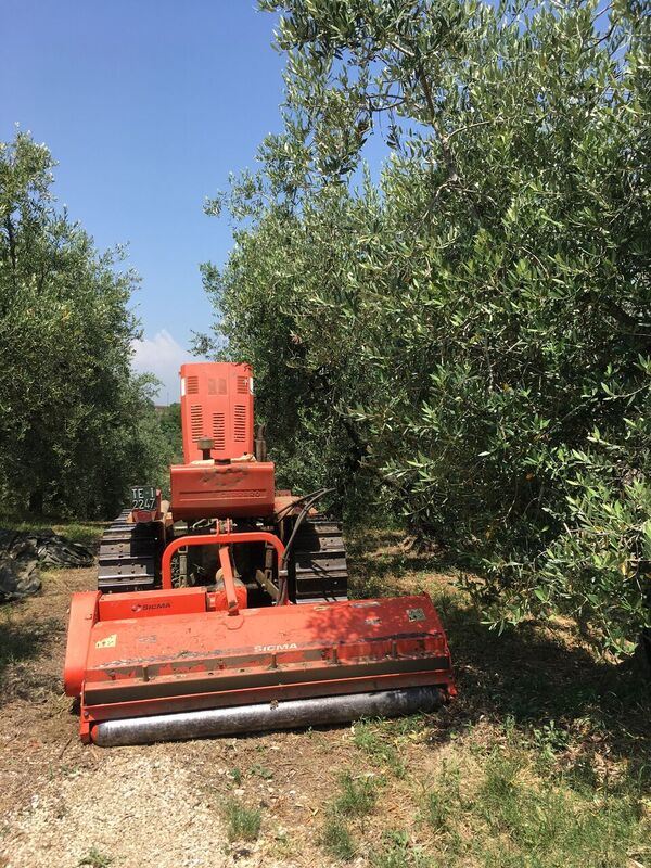 A big grass mower for the olive grove
