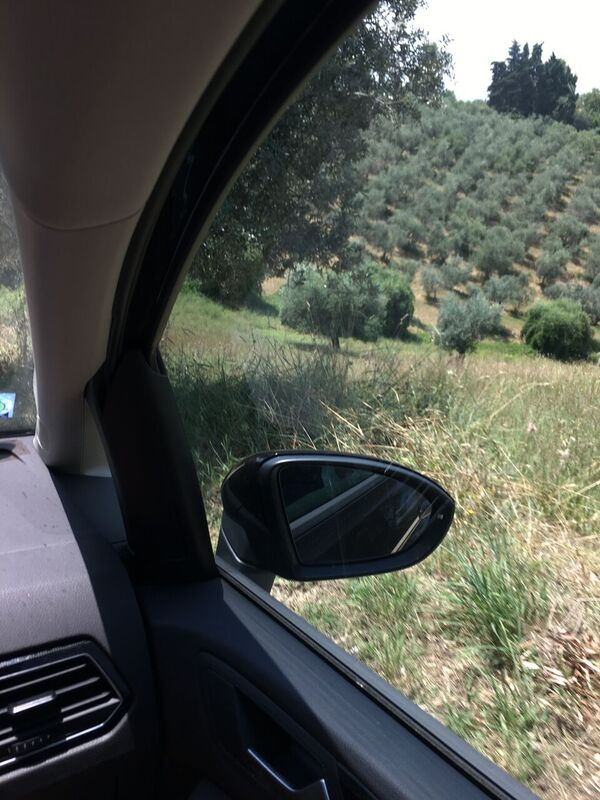 The landscape through our car window while driving to the olive oil farm